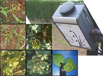 Collage of plant images with yellow circles highlighting areas, alongside a close-up of scientific equipment with a nature-themed design.